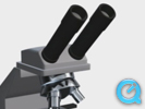 Microscope
